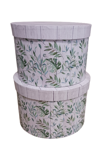 20230330_113917-removebg-preview